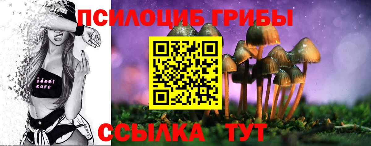 Псилоцибиновые грибы Psilocybe  Вход с VPN  Котлас 